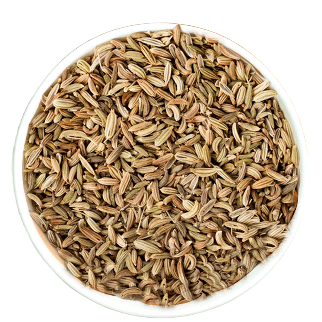 Masala Seeds